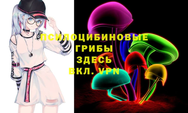 дурь Козловка